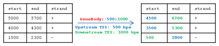 Example Gene body window